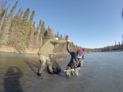 DCIM231GOPROG0190001.