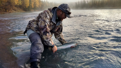 IMG_20150930_091923794_HDR