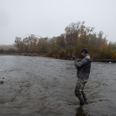 Angler playing a Steelhead