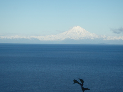 Alaska mountain an ocean view