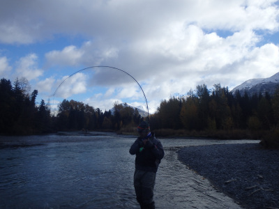 Angler fighting Steelhead