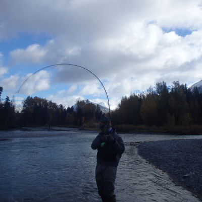 Angler fighting Steelhead