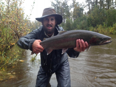 Showing Alaska Steelhead
