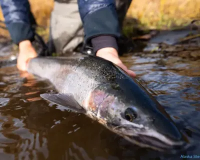 ak_2025_fish_10_3x2-1