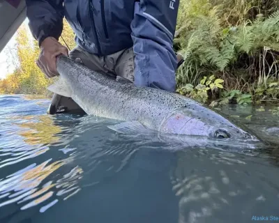 ak_2025_fish_21_3x2_hero-1