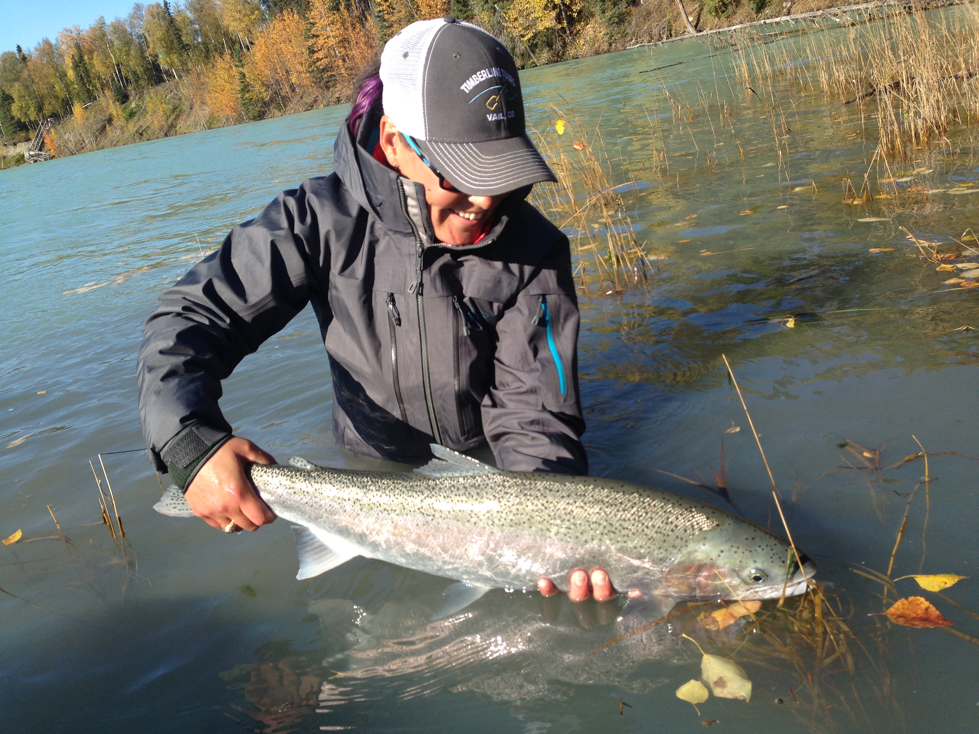 Angler releasing an Alaska Steelhead