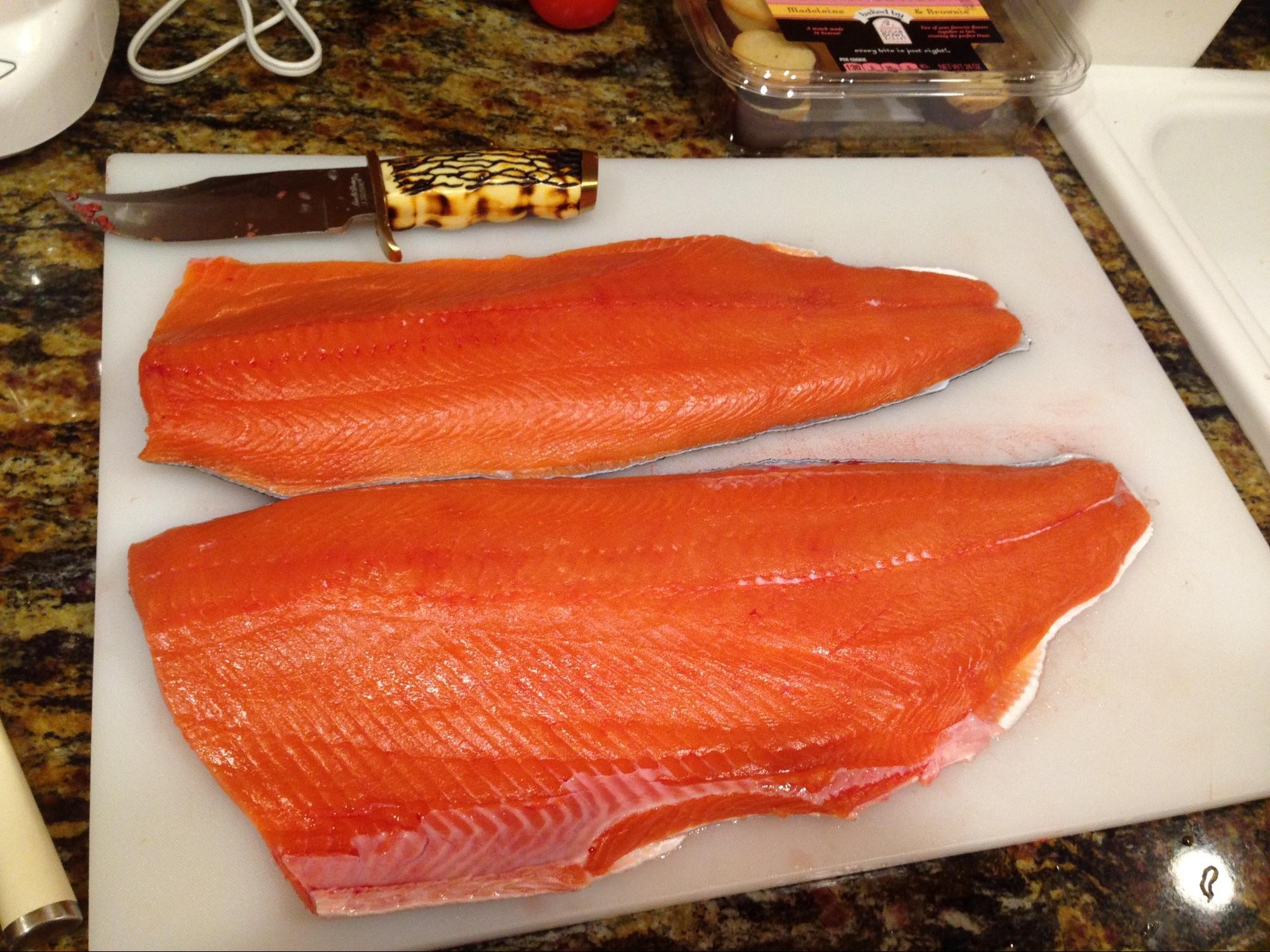 Alaska Salmon filets