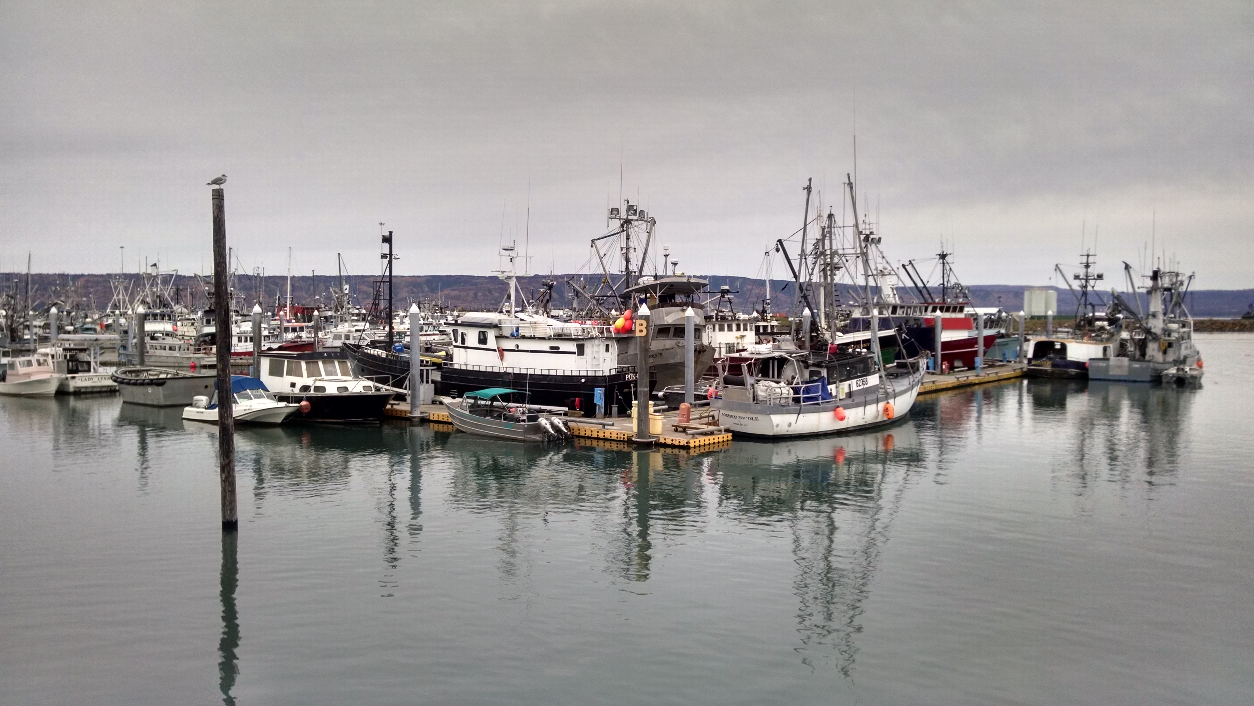 Alaska fishing boats in harbor