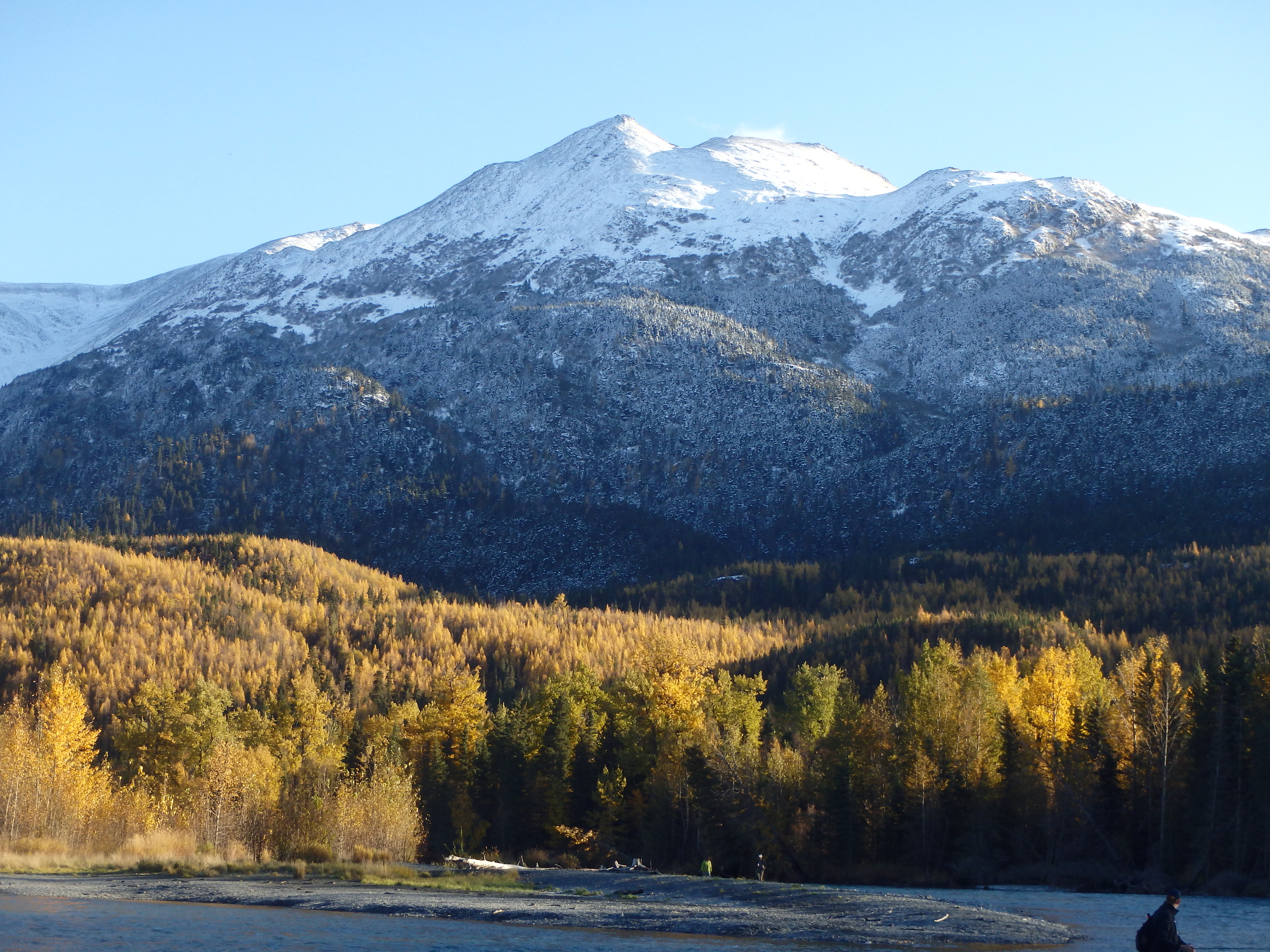 Alaska snowy peak and fall foliage view
