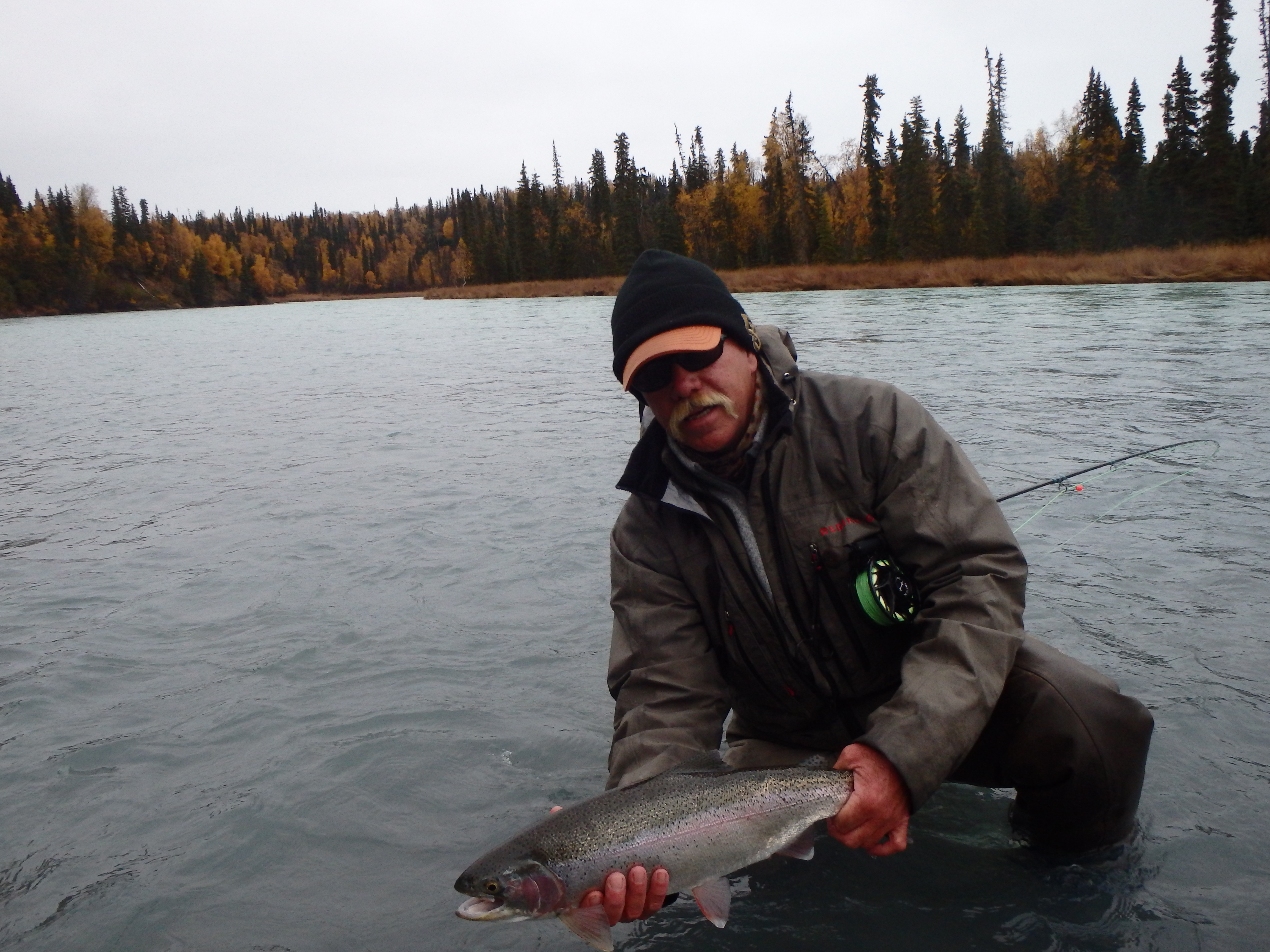 Angler releasing Alaska Rainbow