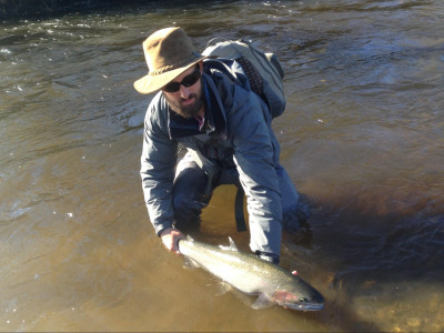 Releasing a Steelhead