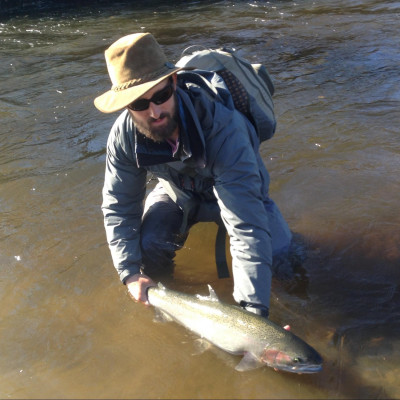 Releasing a Steelhead