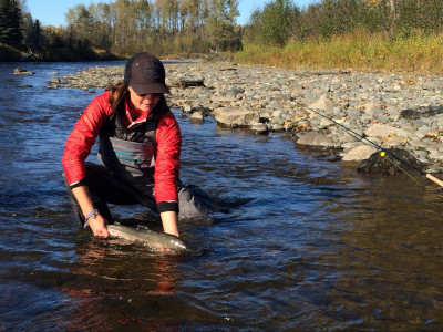 Releasing a Steelhead