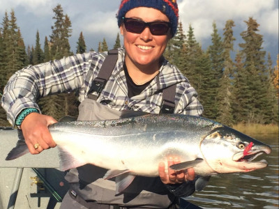 Fly caught Coho Salmon