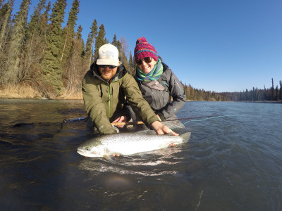 Two angler and a bright Alaska Steelhead