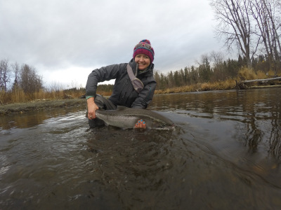 Happy angler releasing Steelhead
