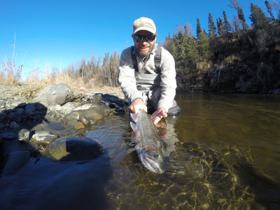 Displaying a Steelhead in Alaska