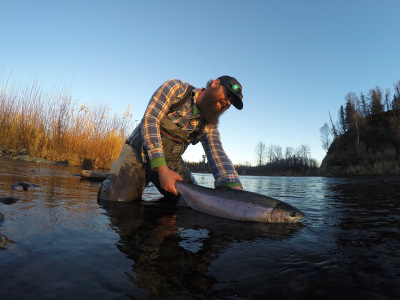 Releasing a Steelhead in the evening