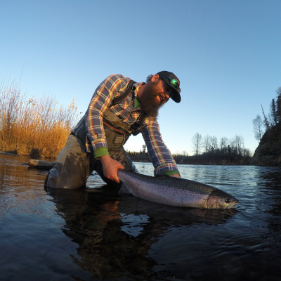 Releasing a Steelhead in the evening