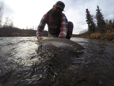 Releasing a Steelhead
