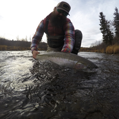 Releasing a Steelhead