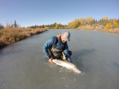 View of the river while letting a Steelhead swim off