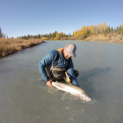 View of the river while letting a Steelhead swim off