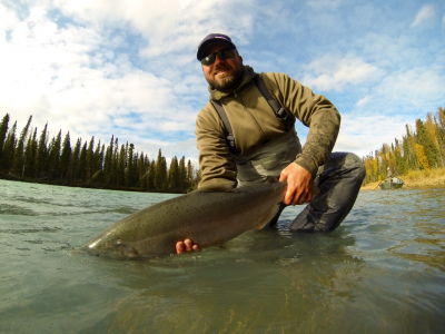 Releasing a Steelhead