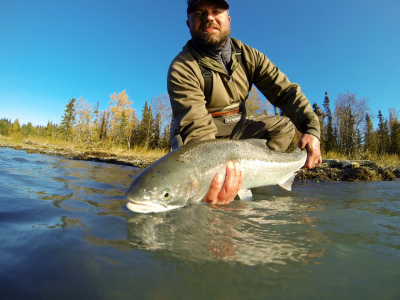 Releasing a Steelhead