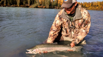 Angler holding a Steelhead