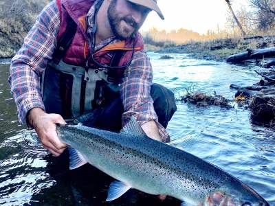 Releasing a Steelhead