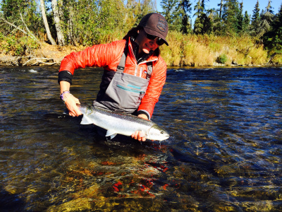 Releasing a Steelhead