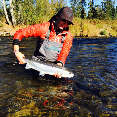 Releasing a Steelhead