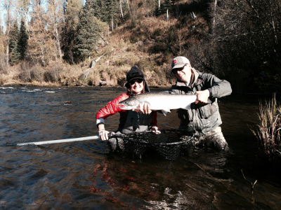 Two anglers hoist a large Steelhead