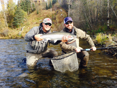 Hoisting a Steelhead from the net