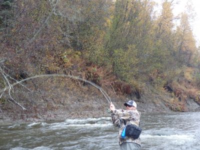 Angler hooked up to a steelhead
