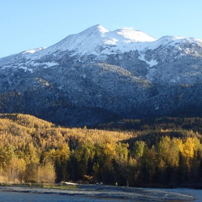 Alaska snowy peak and fall foliage view