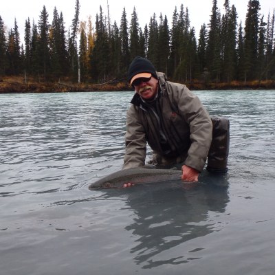 Angler releasing a Steelhead
