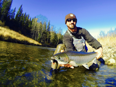 Small stream Steelhead caught with egg sucking leech