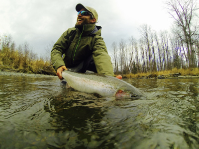 Happy angler releasing Alaska Steelhead