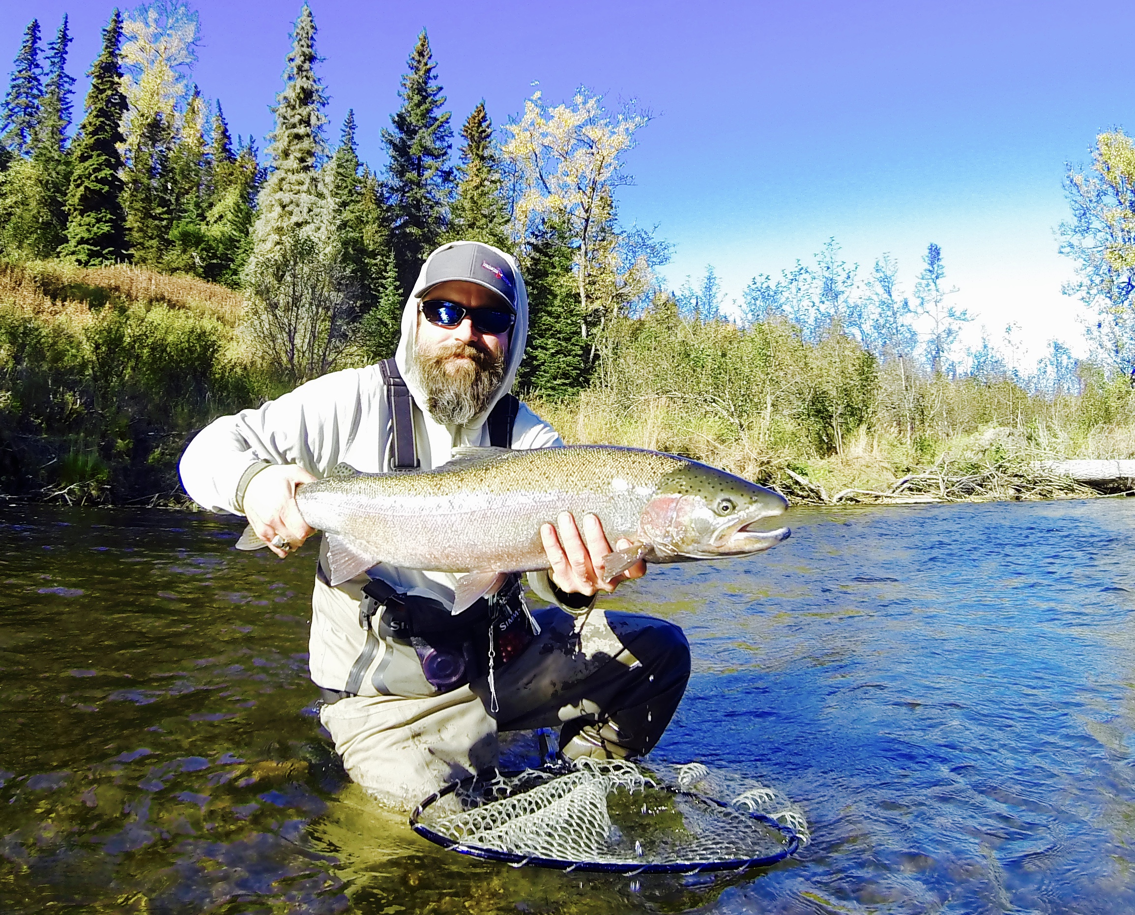 Angler holding Alaska Steelhead