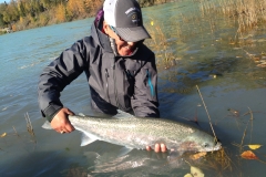Angler releasing an Alaska Steelhead