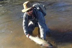 Releasing a Steelhead