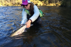 Releasing an Alaska Steelhead