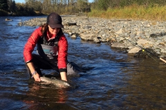 Releasing a Steelhead