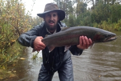 Showing Alaska Steelhead