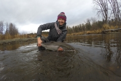 Happy angler releasing Steelhead