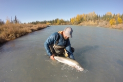 View of the river while letting a Steelhead swim off