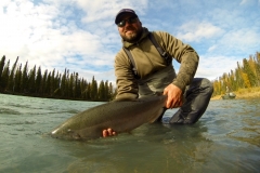 Releasing a Steelhead