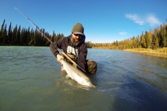 Spey casting fly fisher admiring large fly caught Steelhead